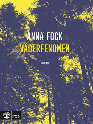 cover image of Väderfenomen